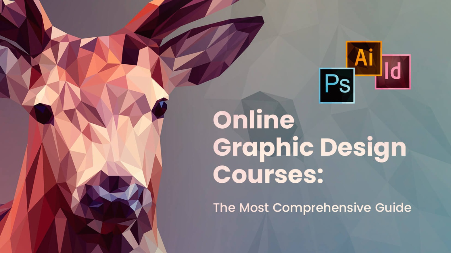 online graphic design classes Niche Utama Home Online Graphic Design Courses: The Most Comprehensive Guide