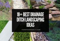 Ditch drainage investor