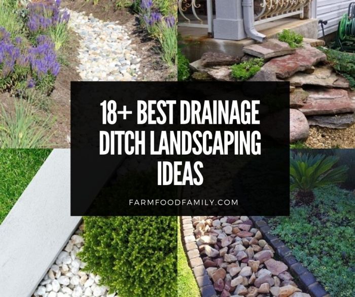 Ditch drainage investor