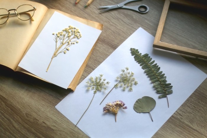 Herbarium gestalten